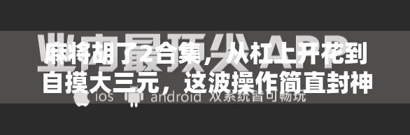 麻将胡了2合集，从杠上开花到自摸大三元，这波操作简直封神！