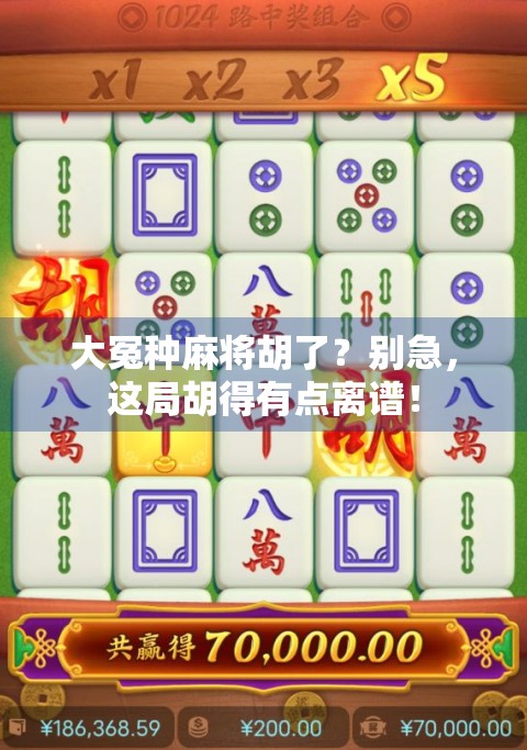 大冤种麻将胡了？别急，这局胡得有点离谱！