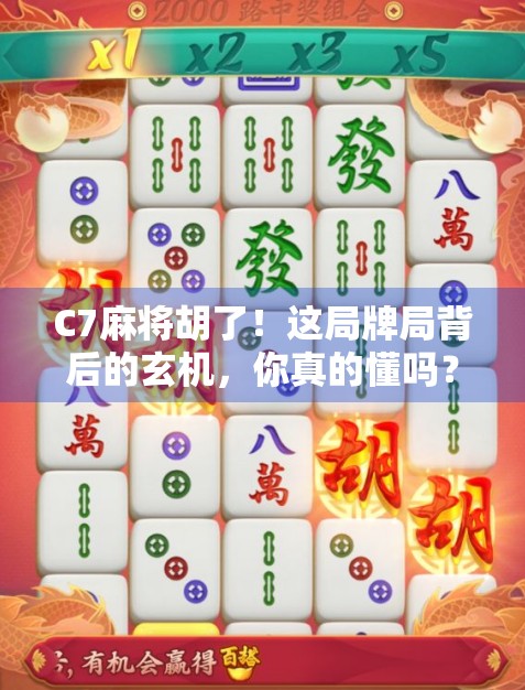 C7麻将胡了！这局牌局背后的玄机，你真的懂吗？