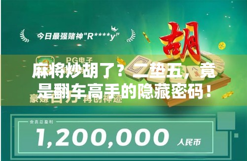 麻将炒胡了？二垫五，竟是翻车高手的隐藏密码！