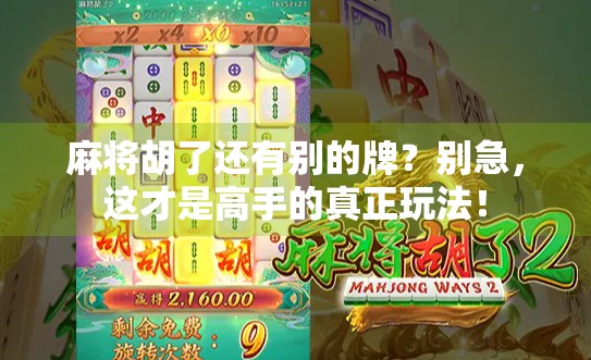 麻将胡了还有别的牌?别急,这才是高手的真正玩法! 麻将胡了还有别的牌?别急,这才是高手的真正玩法!