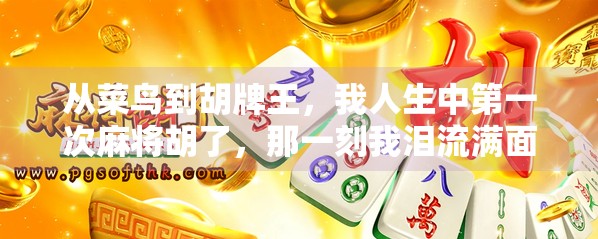 从菜鸟到胡牌王,我人生中第一次麻将胡了,那一刻我泪流满面 从菜鸟到胡牌王,我人生中第一次麻将胡了,那一刻我泪流满面