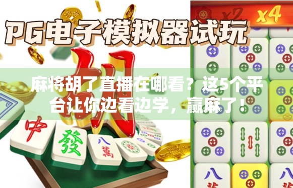 麻将胡了直播在哪看？这5个平台让你边看边学，赢麻了！